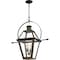 Quoizel Rue De Royal Outdoor Hanging Lantern RO1914IZ - alternate 4